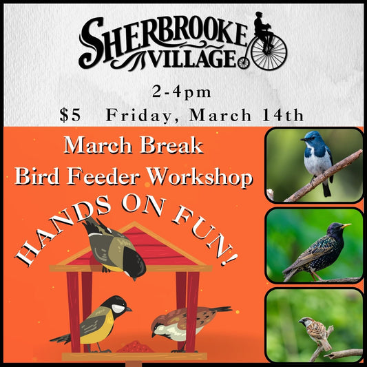 March Break Bird Feeder Workshop